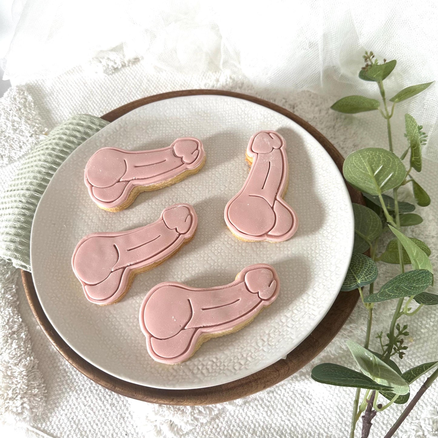 Hen Do Biscuits Cheeky Willy Biscuits & Hen Party Favours